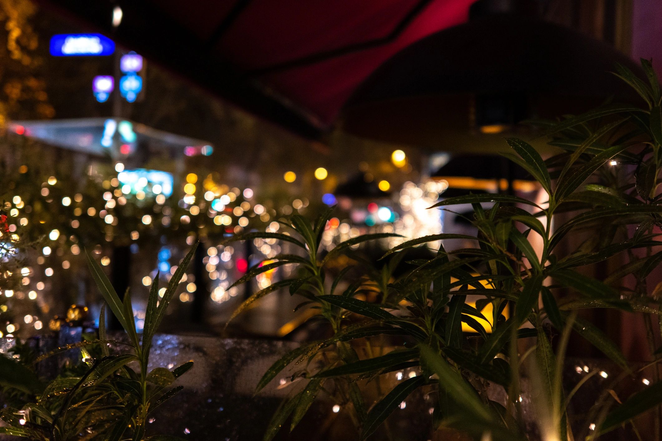 Out-of-focus night lights bokeh
